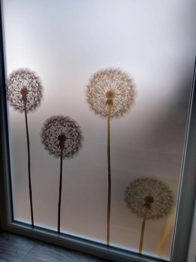 Ferienwohnung Pusteblume Mueddersheim Vettweiss Exteriör bild